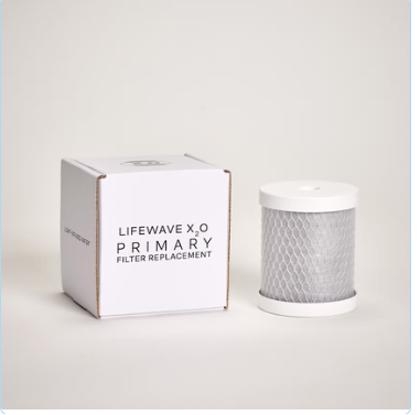 X₂O™ Primary Filter Replacement