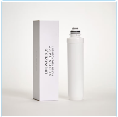 X₂O™ Secondary Filter Replacement